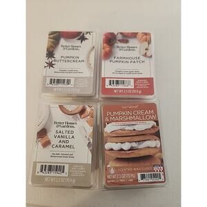 4 Packs of 6 Scented Wax Cubes in each 2.5oz package FALL SCENTED